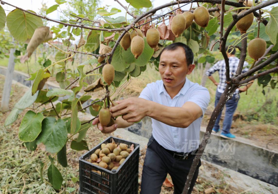 507436