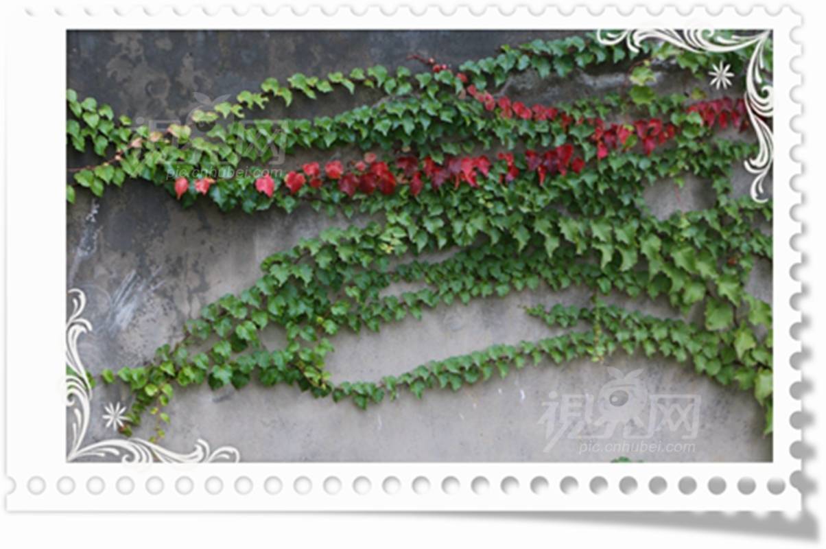 515650