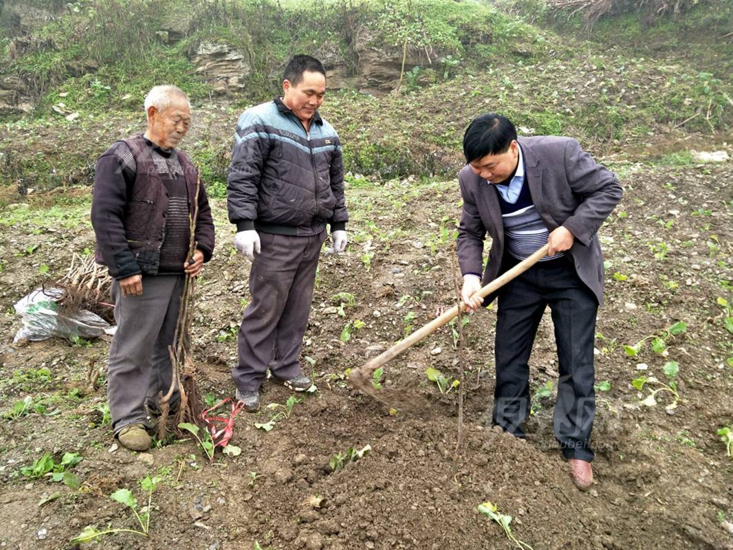 516475