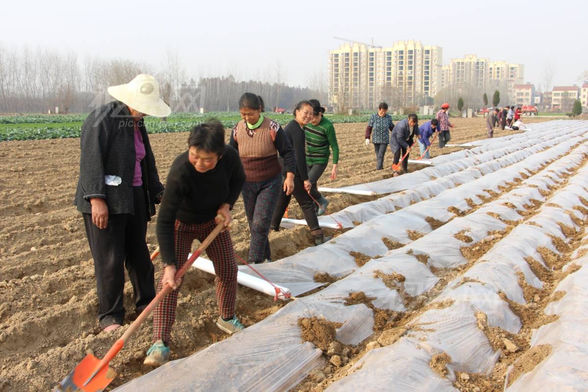 518274