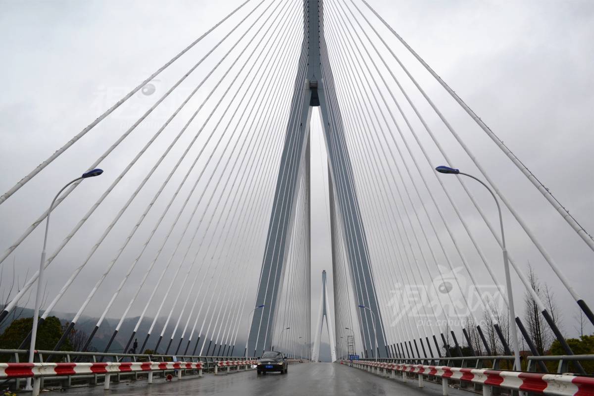 519982