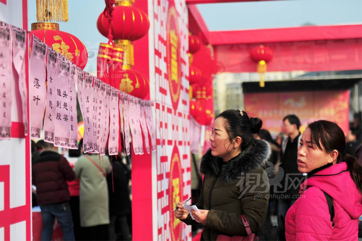 523259