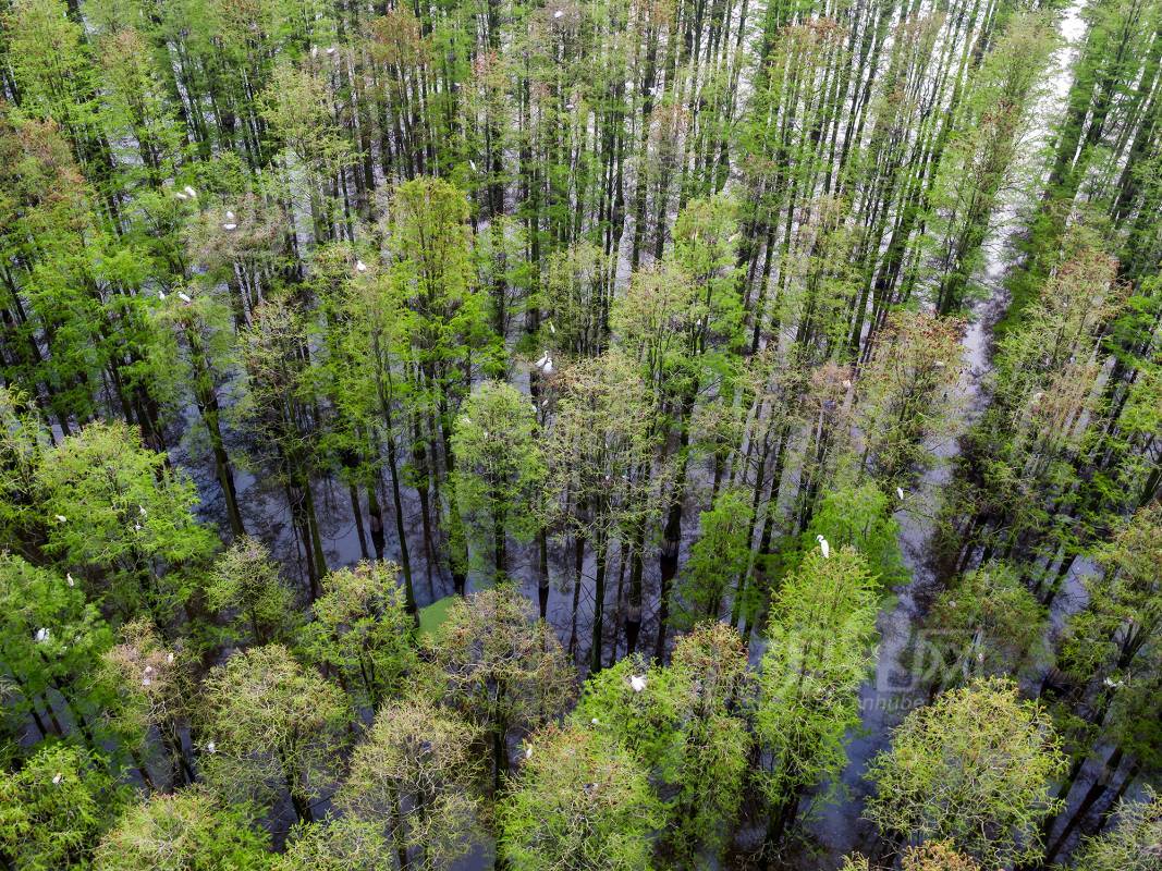 532150