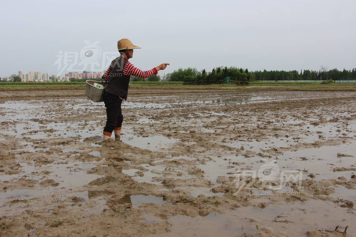 532561