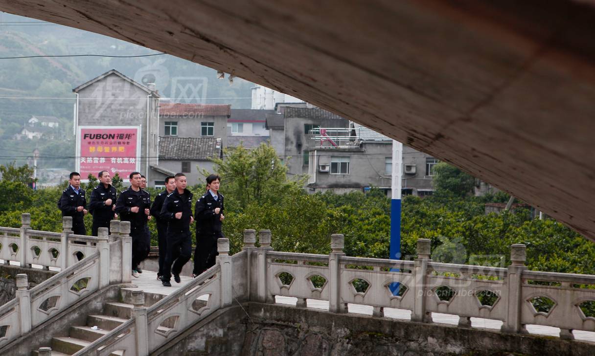 533081