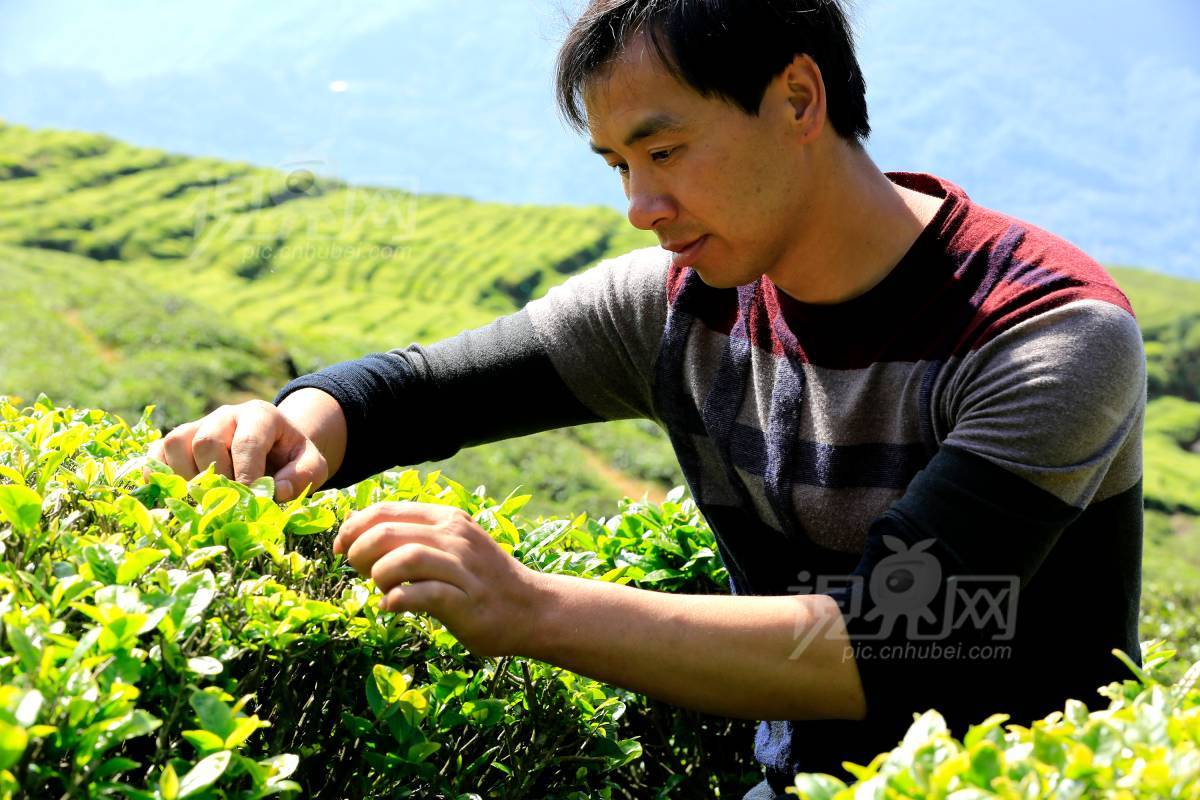 534016
