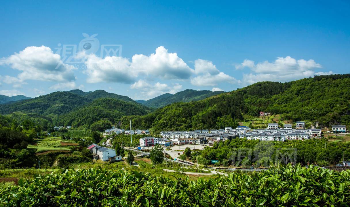 534409