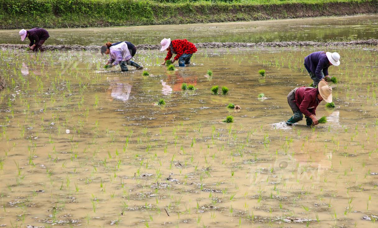 534574