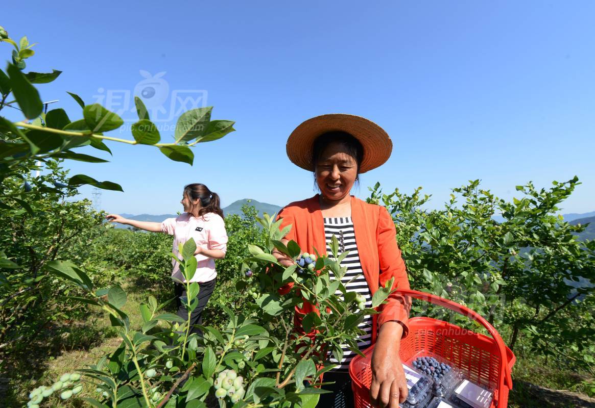 536686
