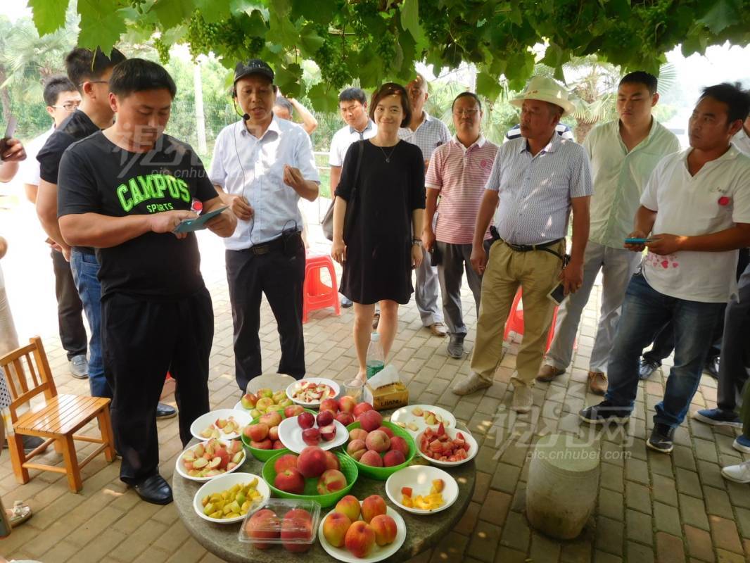 537575