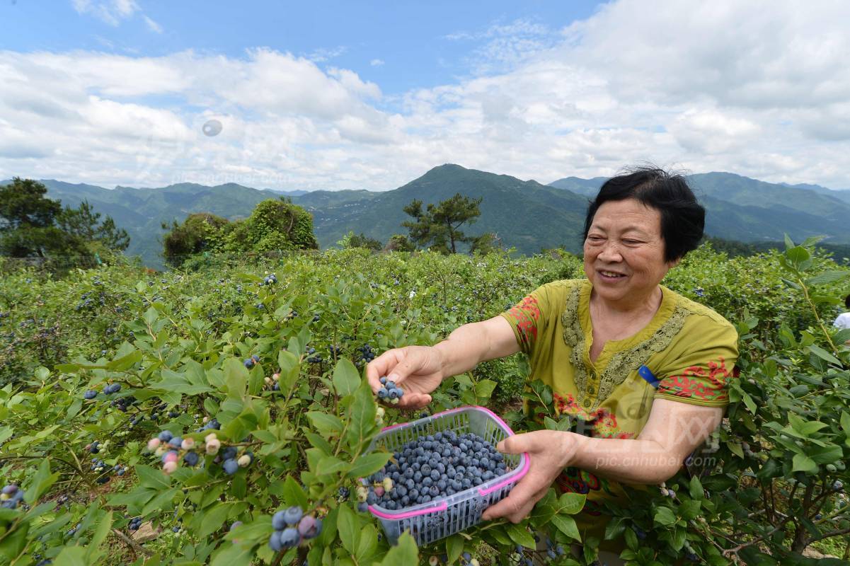 538247