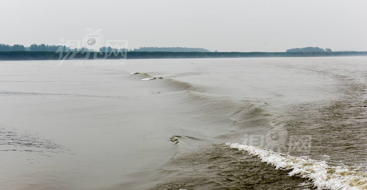 539231