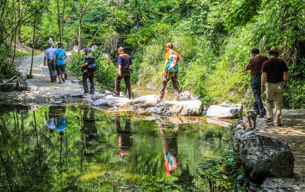 539303