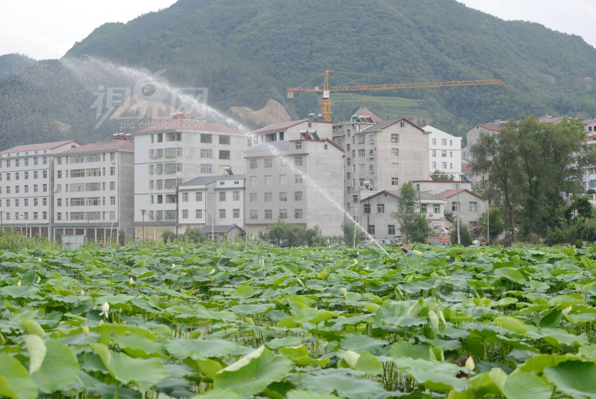 541798