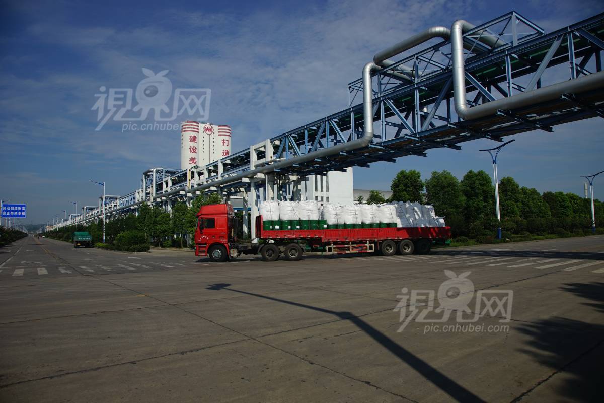 542503