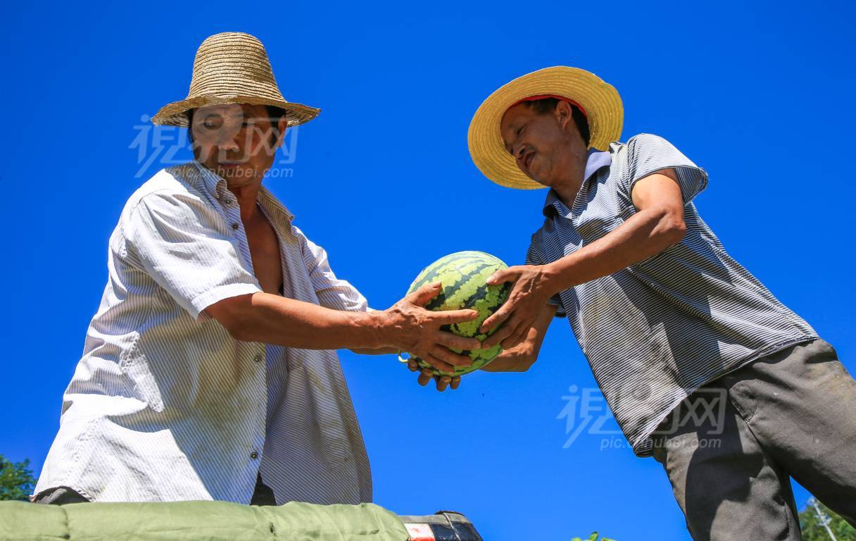 543398