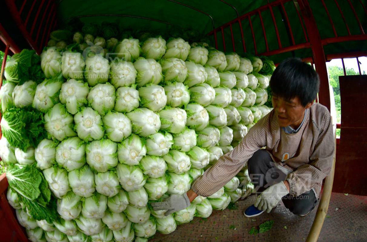 544457