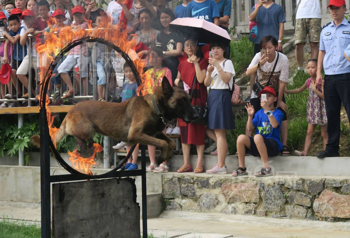 544578
