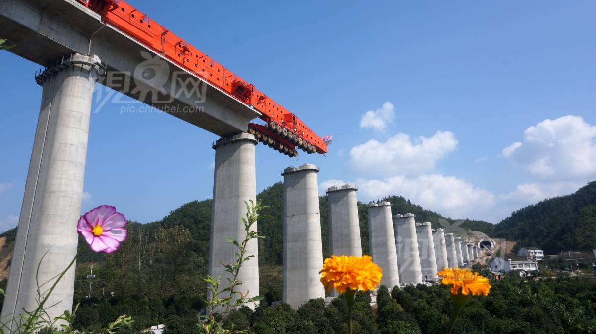 551423