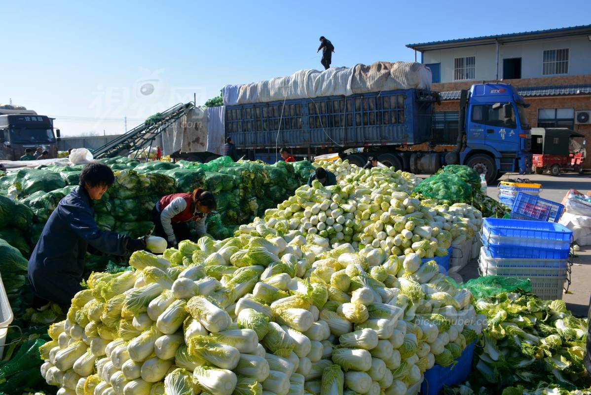 557508