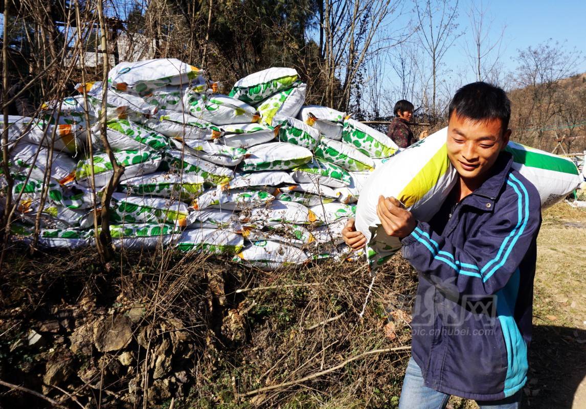557979