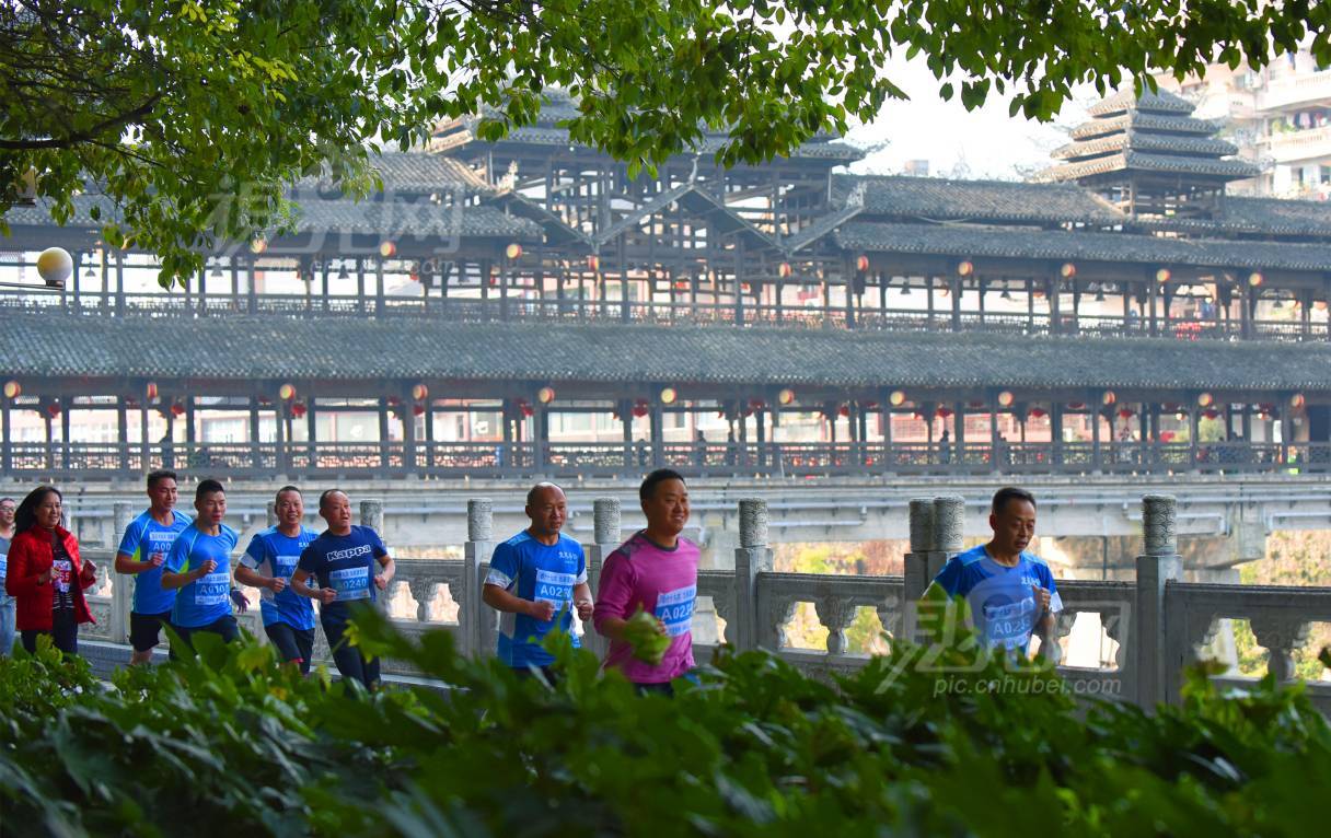 558036