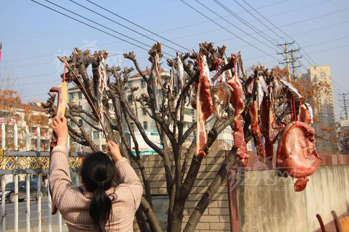 558625