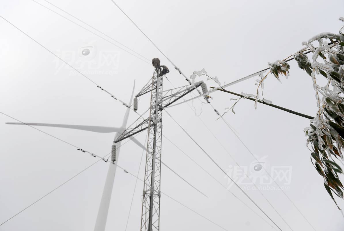 562409