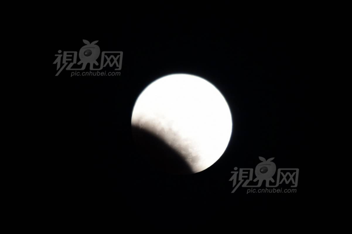 562604