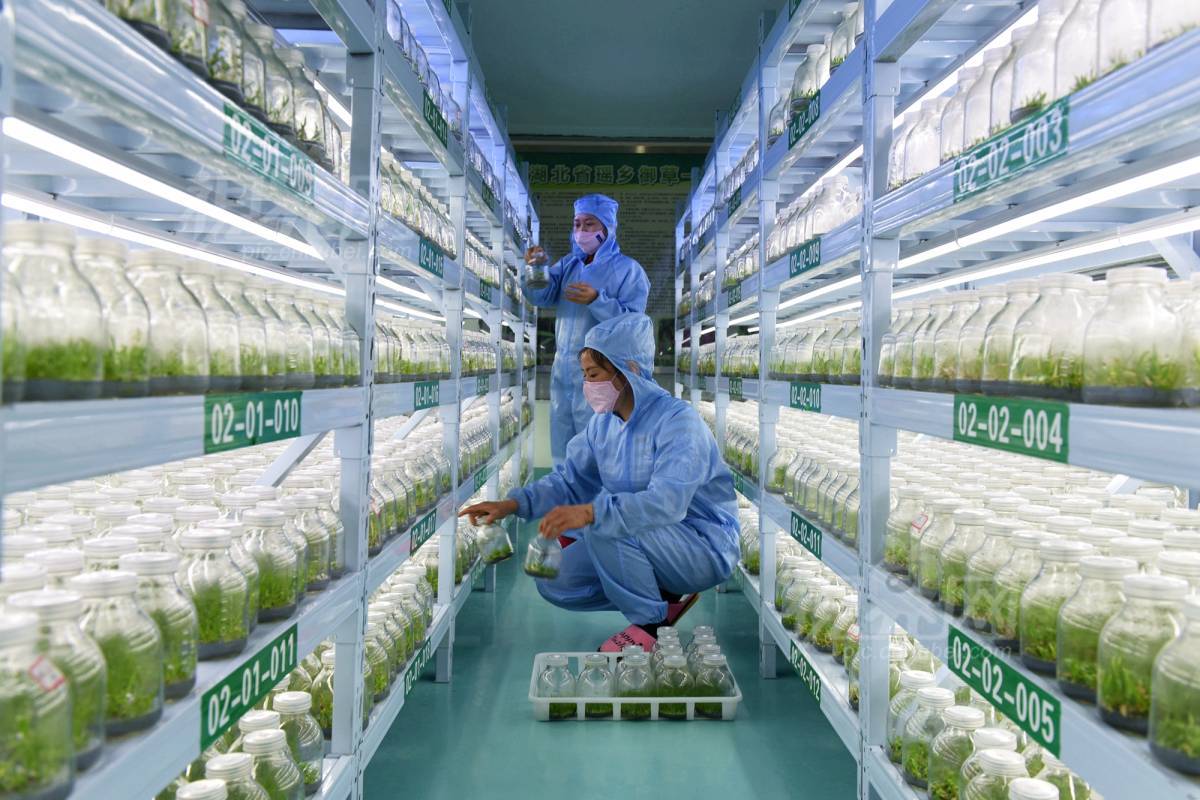 567080