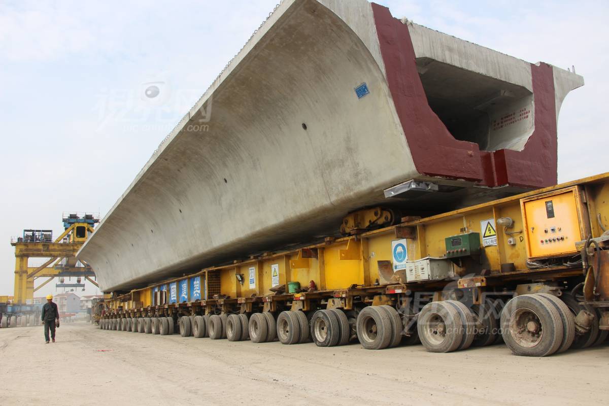568026
