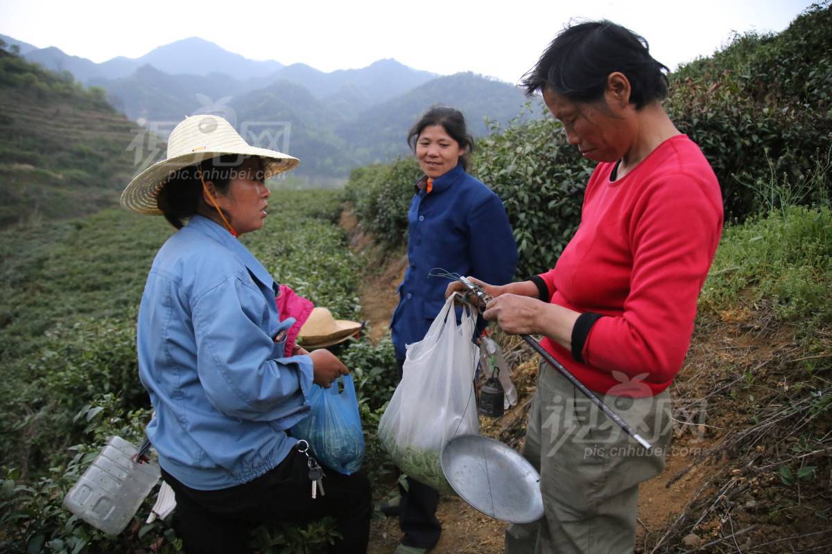 571090