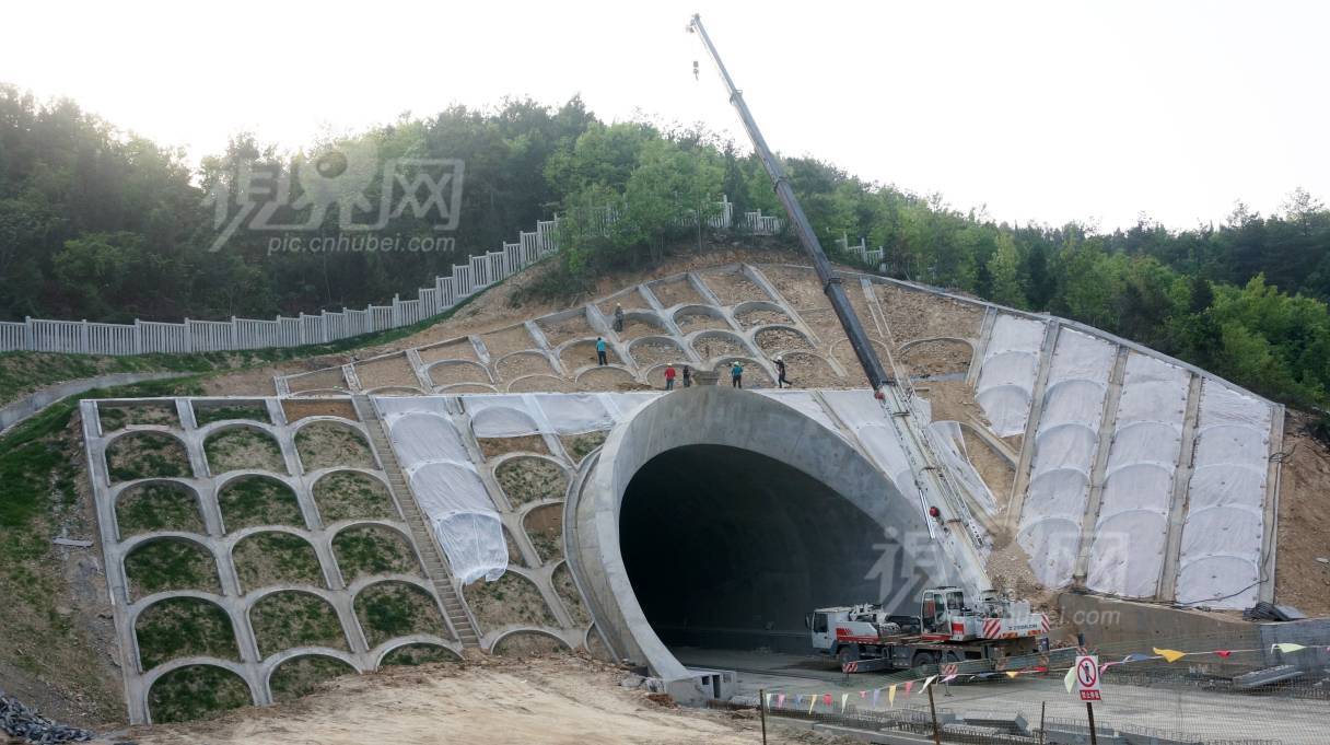 572439