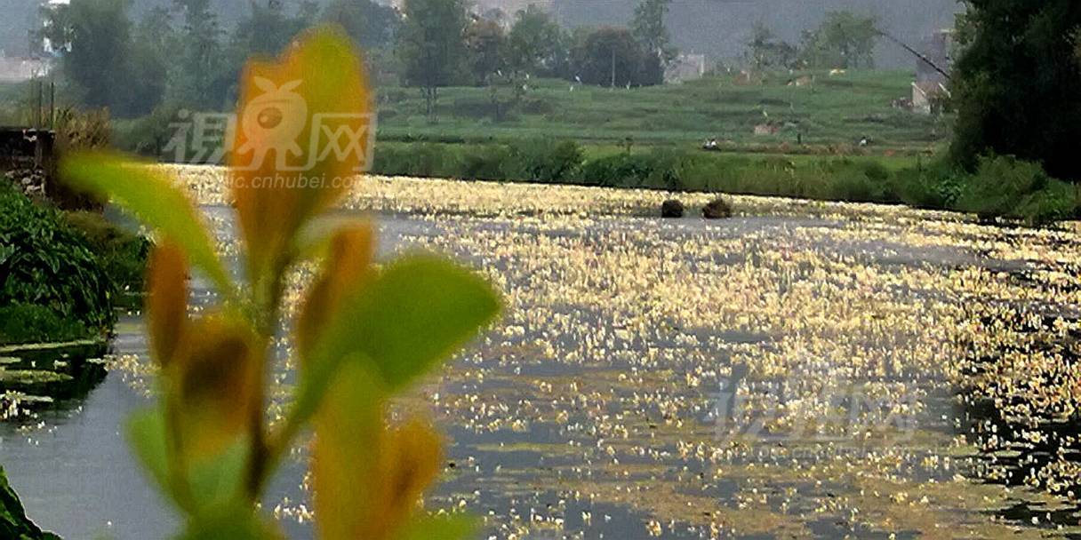 573875