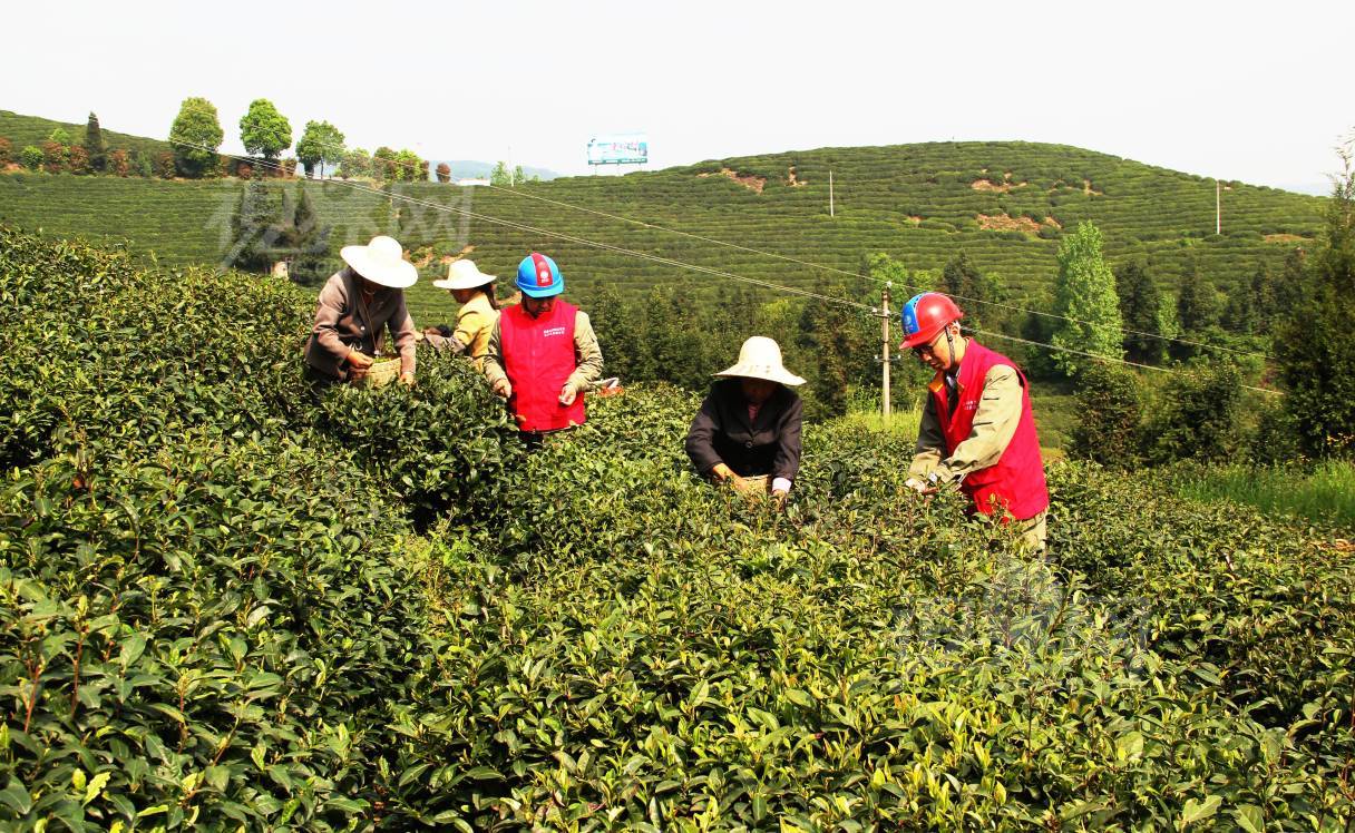 573989
