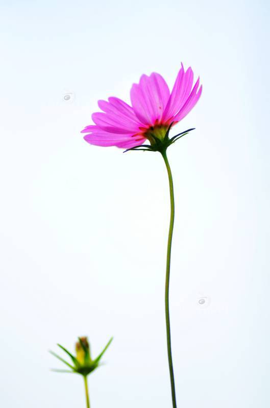 579318