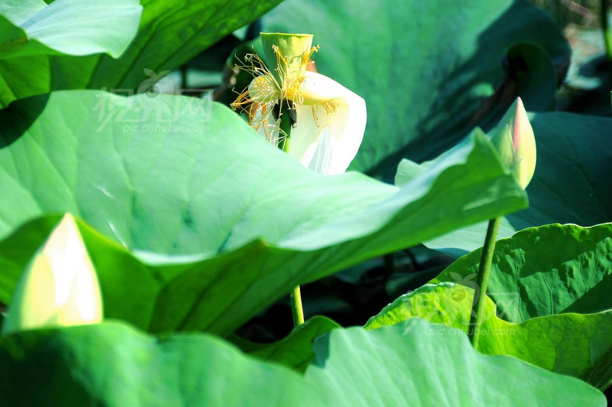 579969