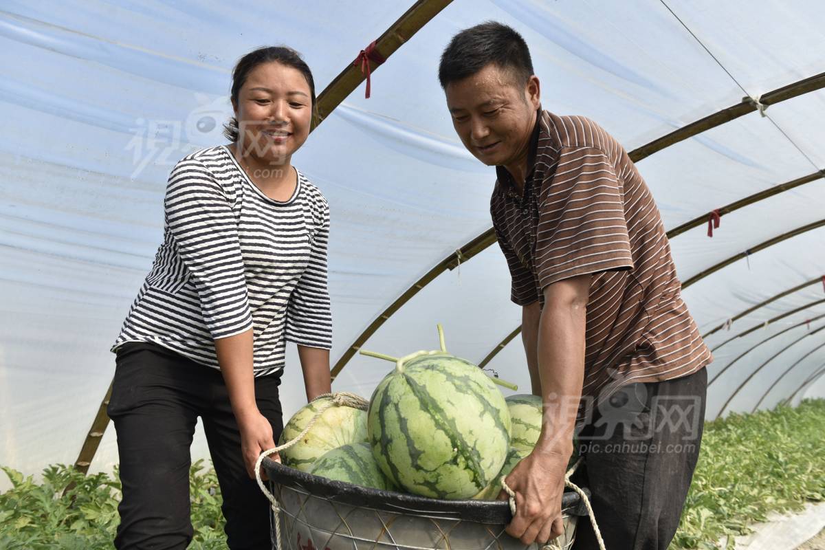 581256