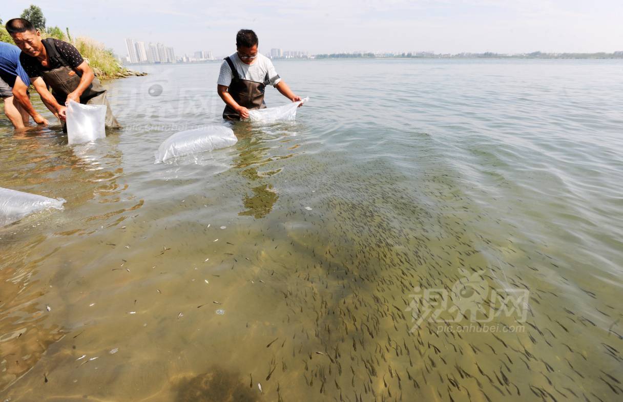 582332