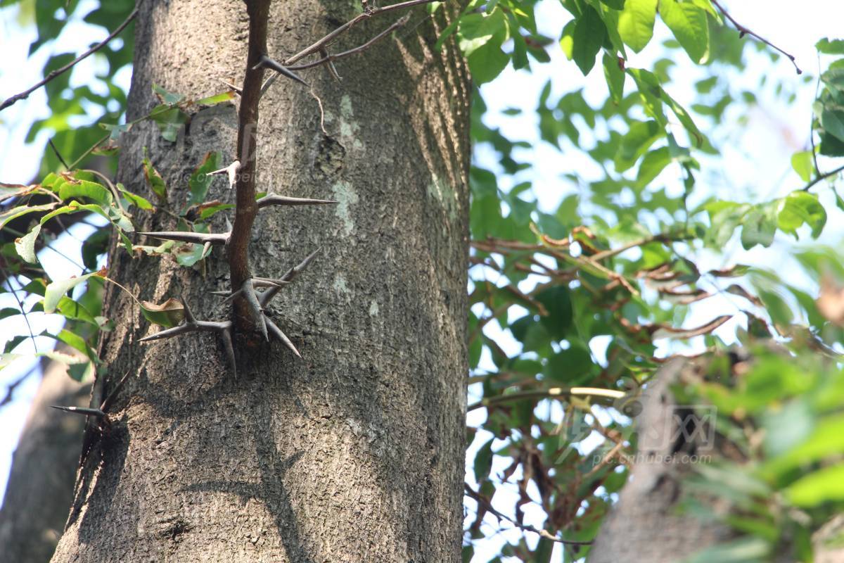 587122