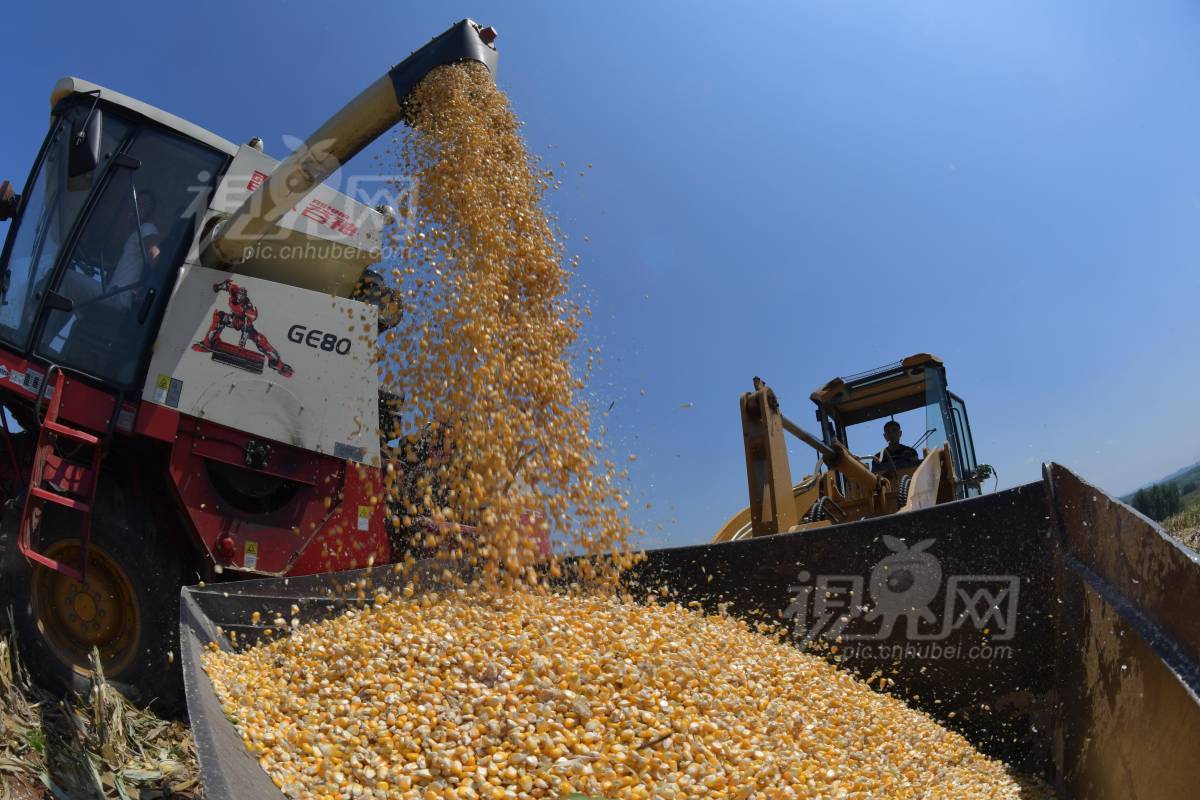 587646