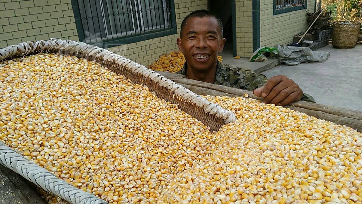 588204