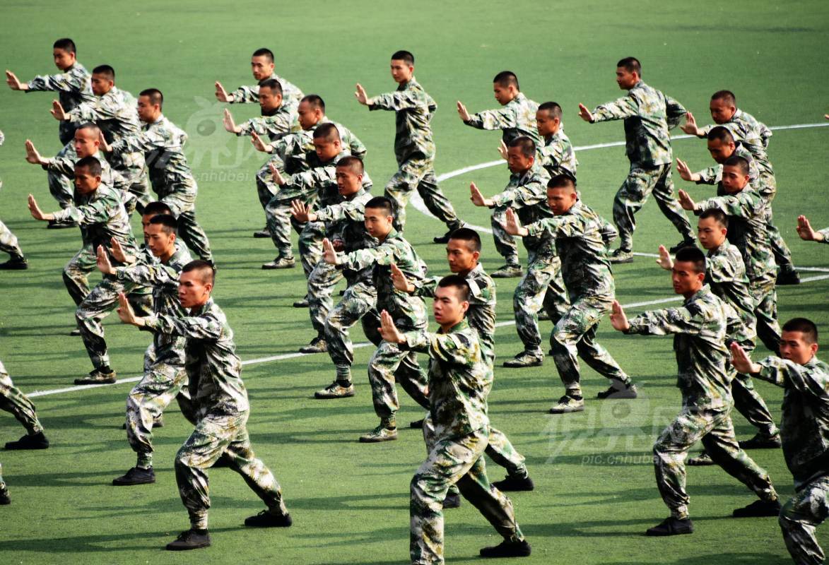 589254