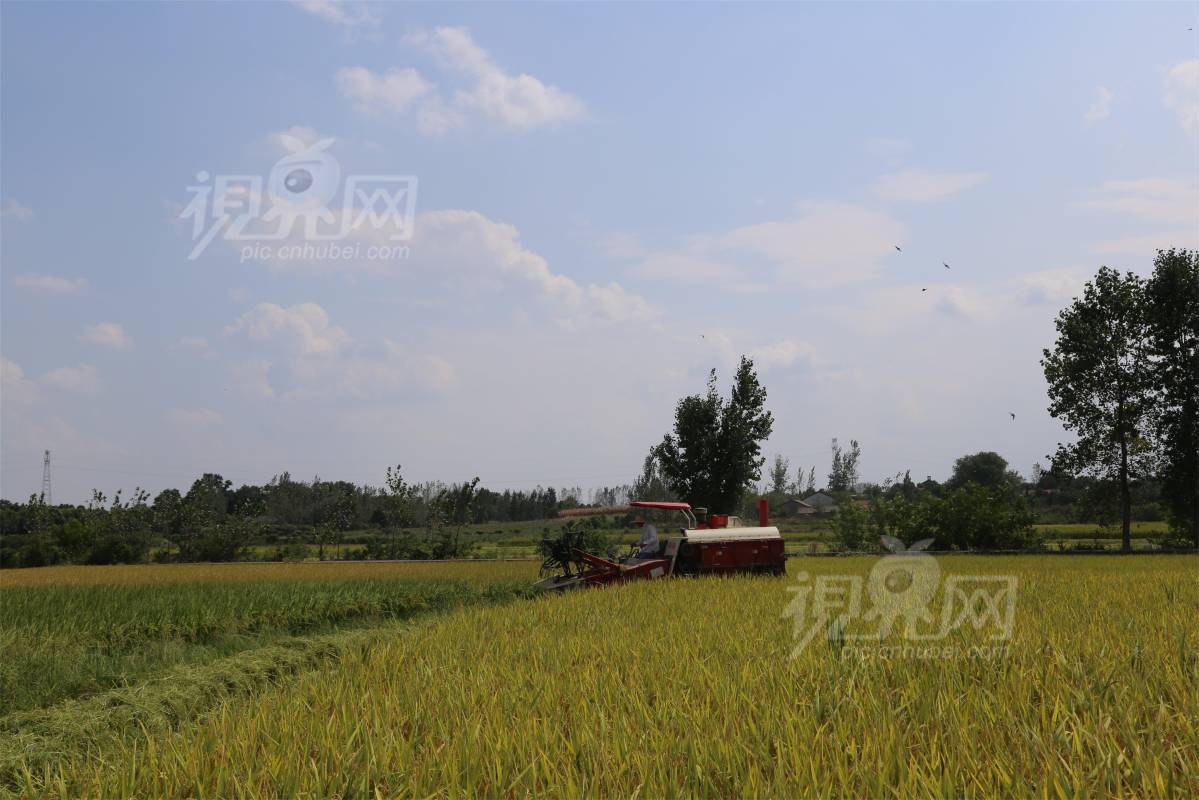 589634