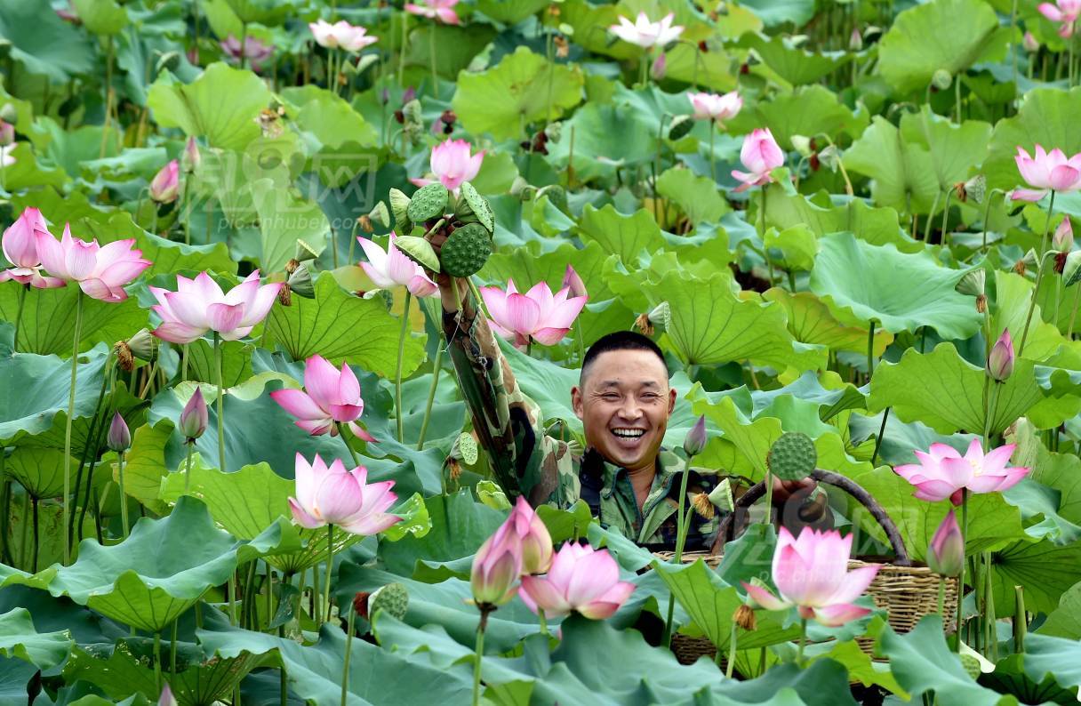 589777