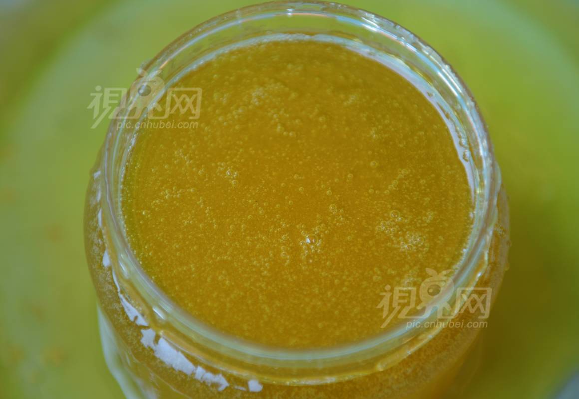 590035