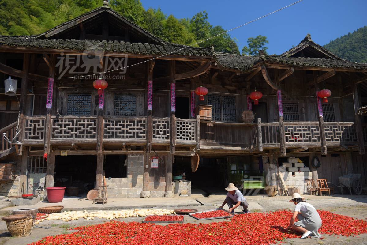 590220