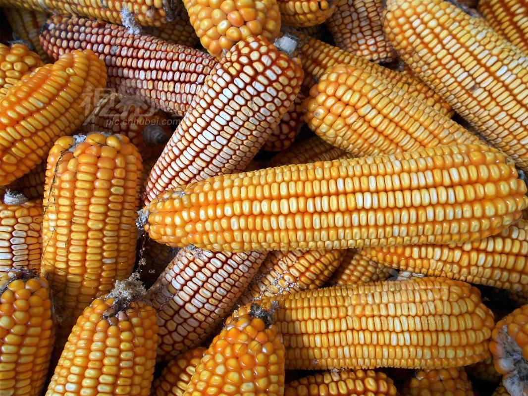 593535