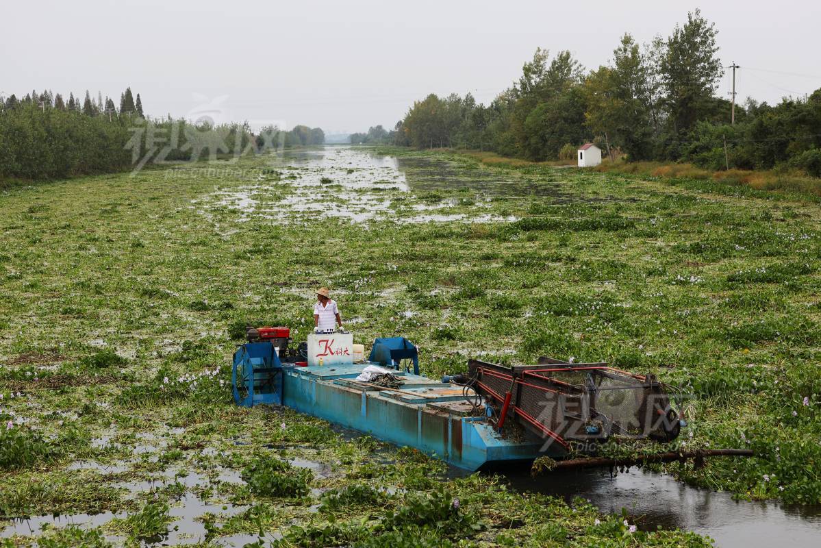 595076