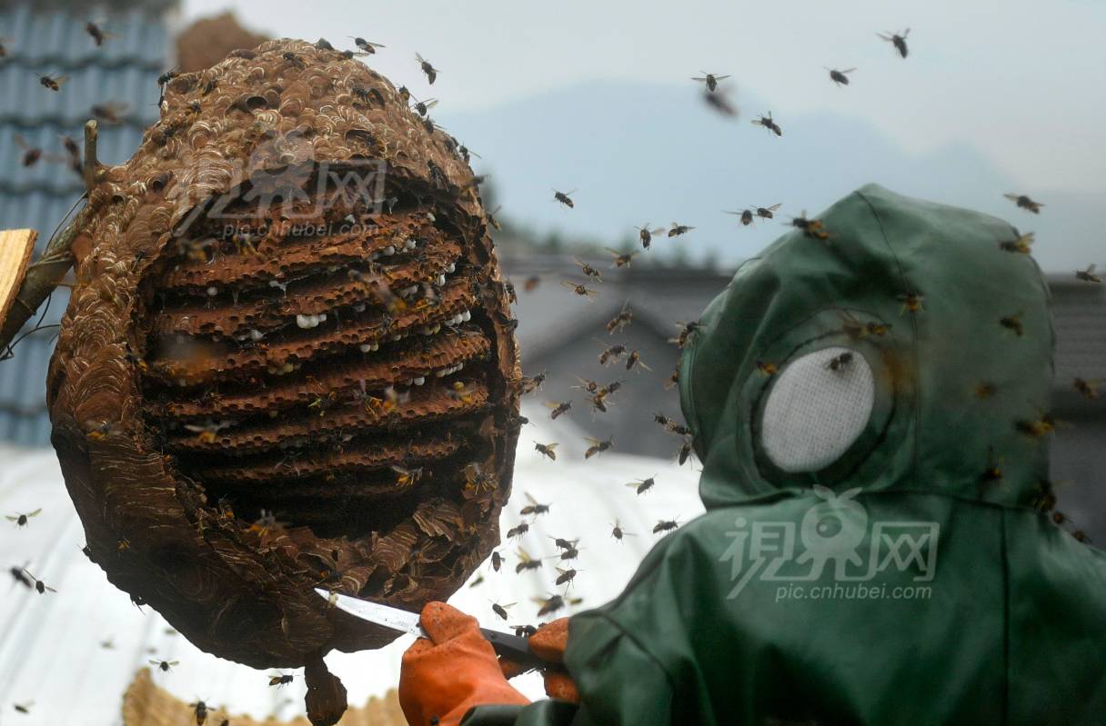 595794